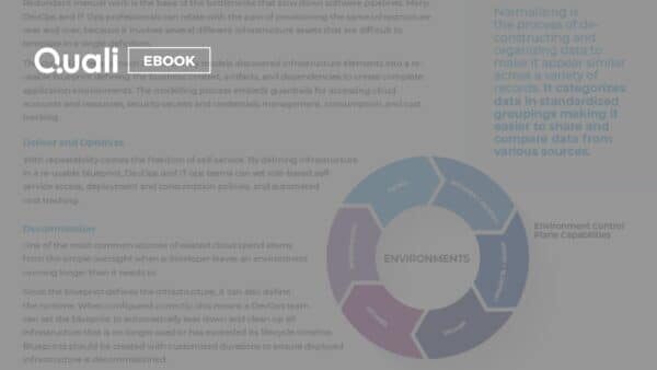 Understanding the Application Environment Control Plane